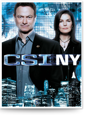 CSI NY
